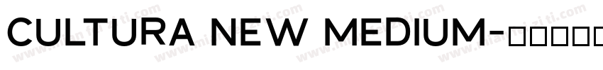 Cultura New Medium字体转换